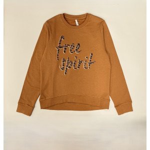 Свитшот утепленный цвета camel с принтом 