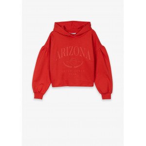 Худи красного цвета с принтом Arizona 