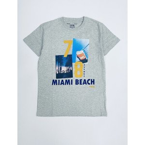 Футболка серого цвета с принтом miami beach 