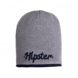 Шапка демисезонная серого цвета с вышивкой "Hipster"