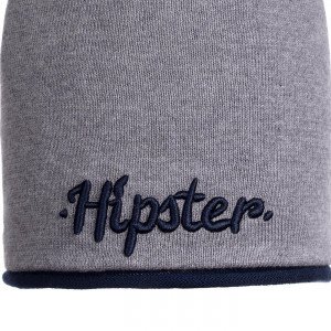 Шапка демисезонная серого цвета с вышивкой "Hipster"